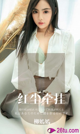 2024最火电视剧排行榜前十名